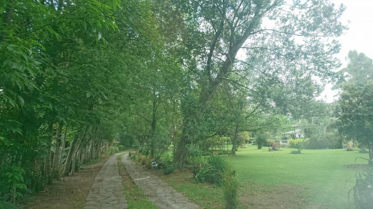 Venta de Terreno Plano Para Vivienda, Colegio, Plaza Comercial de 20000 m² — imagen 3