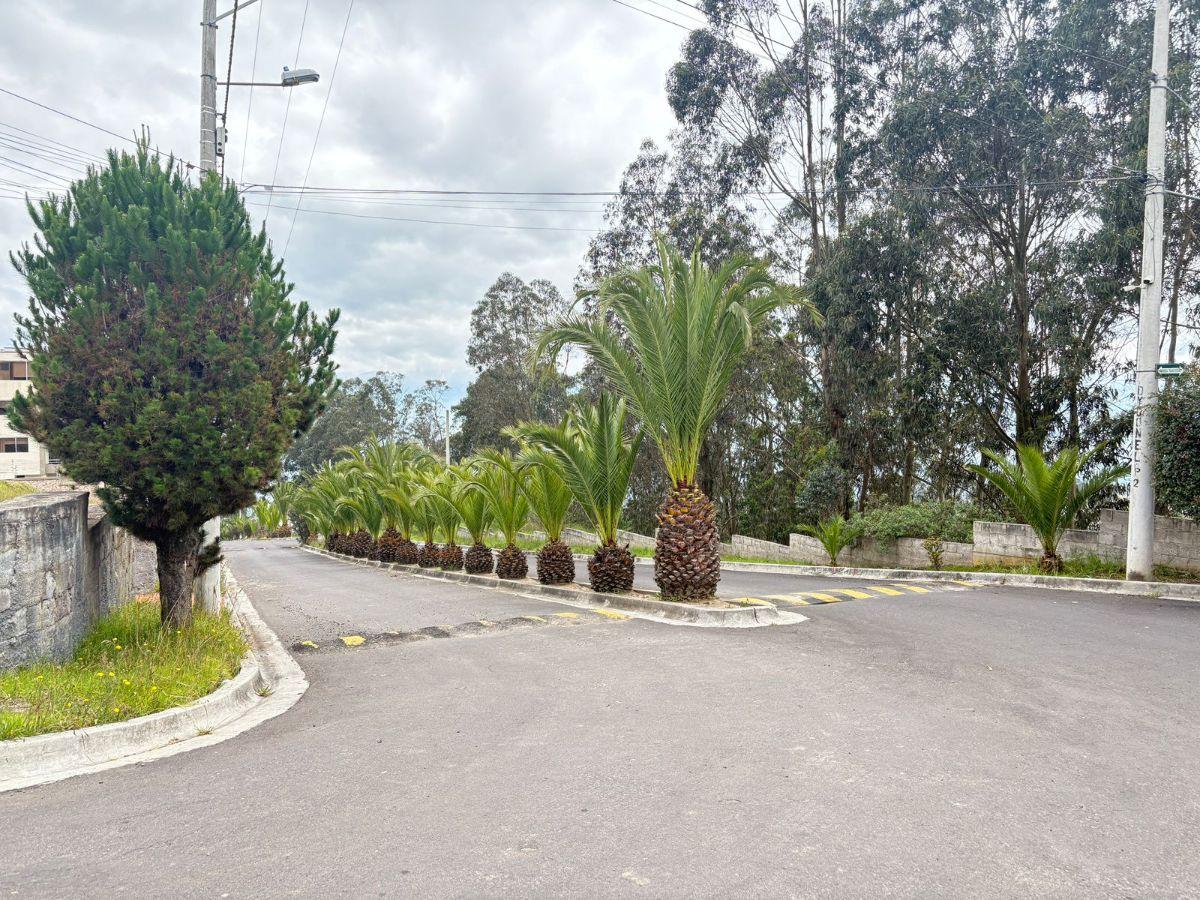 Terreno de Venta en Urbanizacion Montecarlo — imagen 4