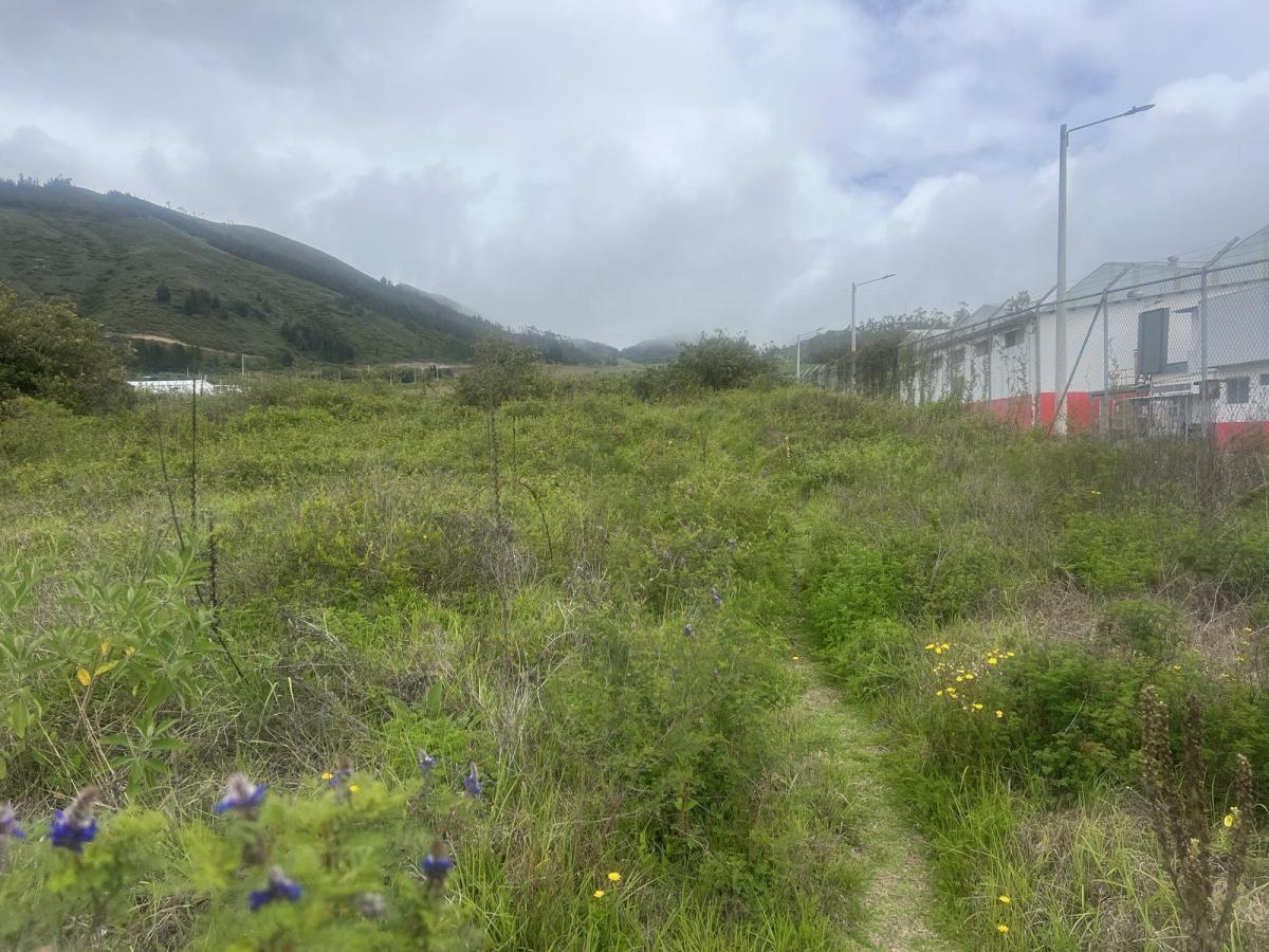 Mitad del Mundo Terreno de Venta Industrial — imagen 4