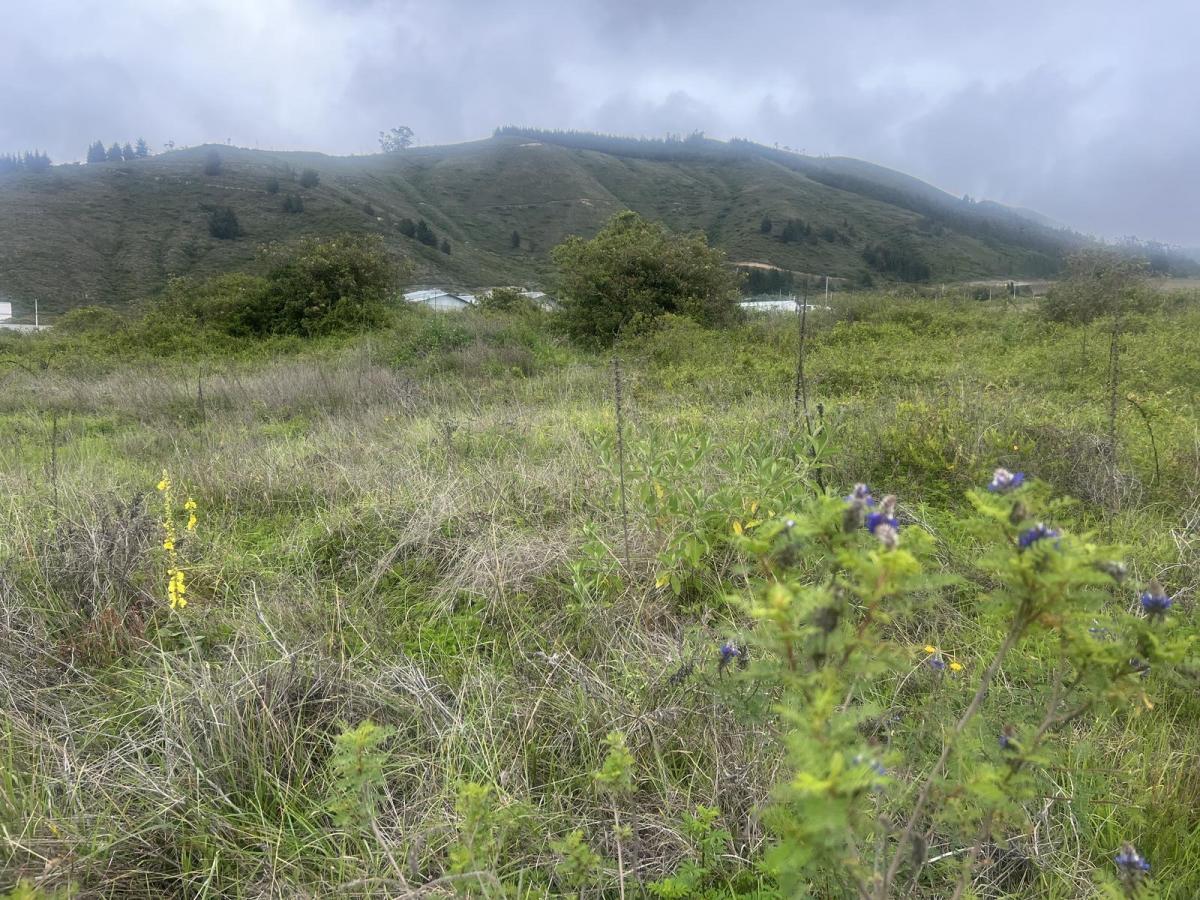 Mitad del Mundo Terreno de Venta Industrial — imagen 3