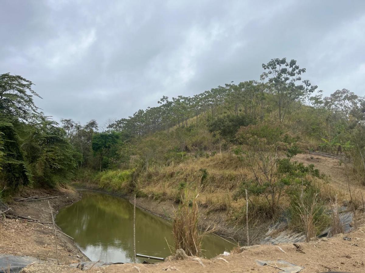 Vendo Terreno Agroforestal en El Sector de Santa Elena — imagen 5
