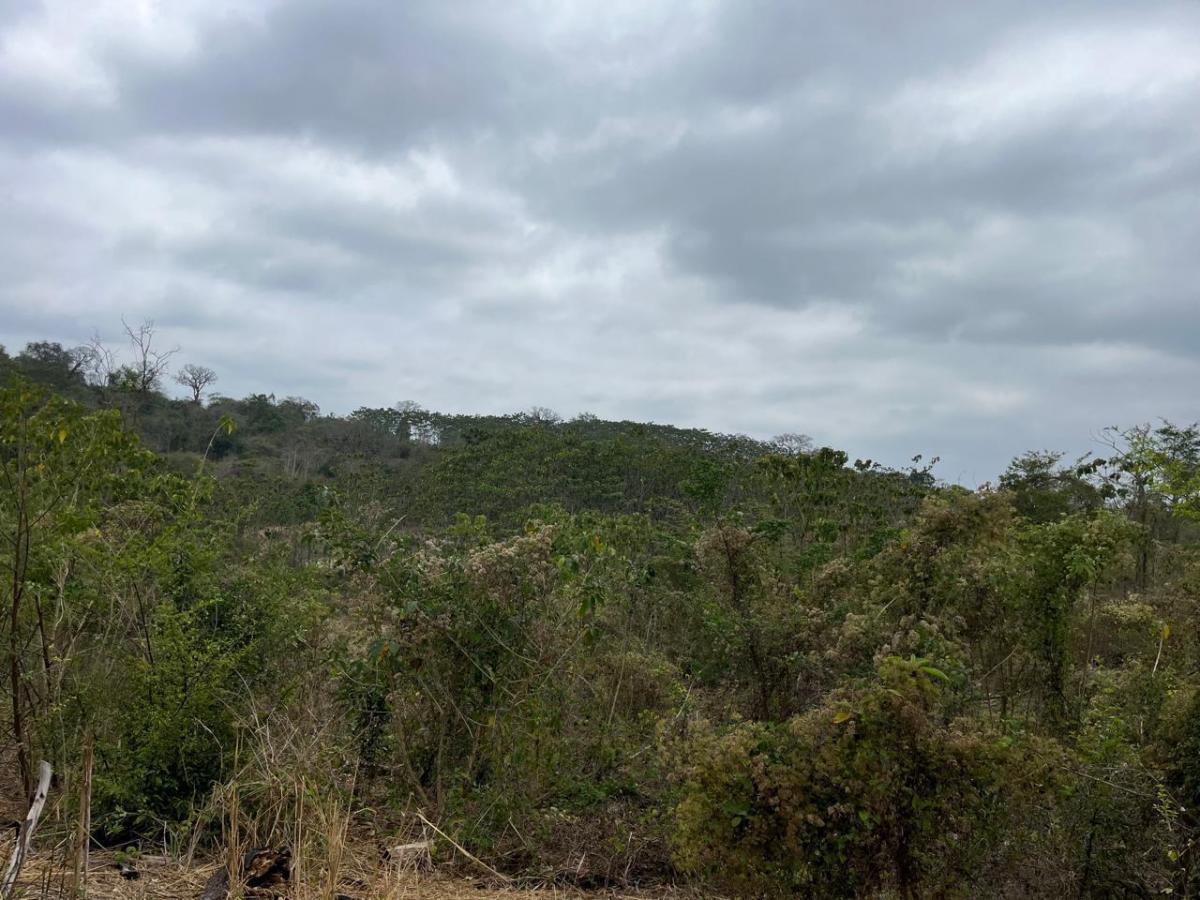 Vendo Terreno Agroforestal en El Sector de Santa Elena — imagen 4