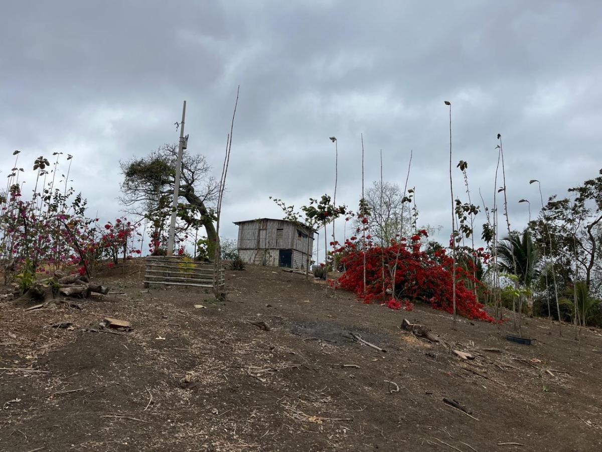Vendo Terreno Agroforestal en El Sector de Santa Elena — imagen 3