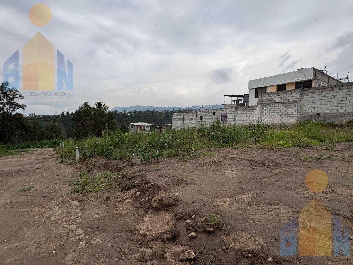 Vendo Terreno 50 % 100% Cos Proyecto Inmobiliario 6265 m² Llano Grande San Juan Loma Alto — imagen 3