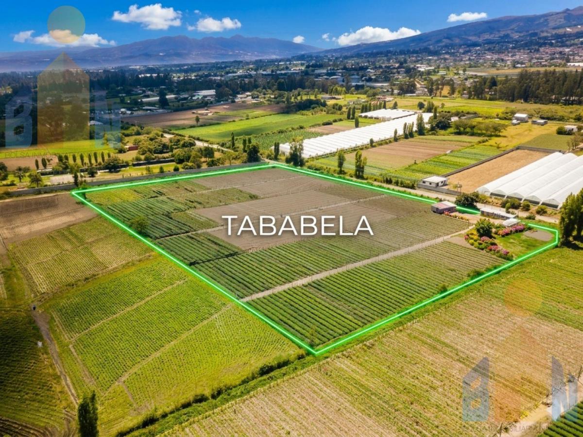 Terreno - Tababela — imagen 3