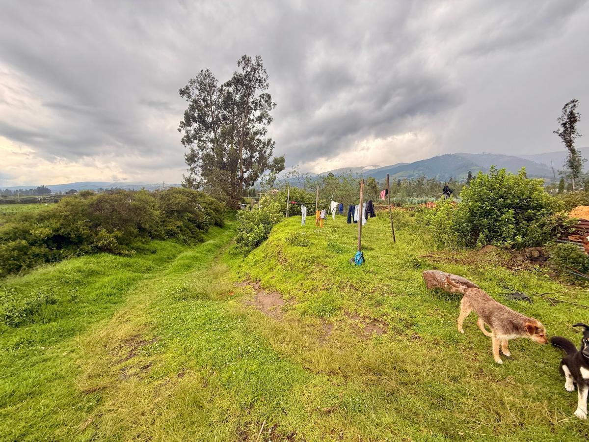Vendo Terreno de 1 Has en Tababela (Redondel Aeropuerto y Vía Pifo El Quinche) — imagen 5