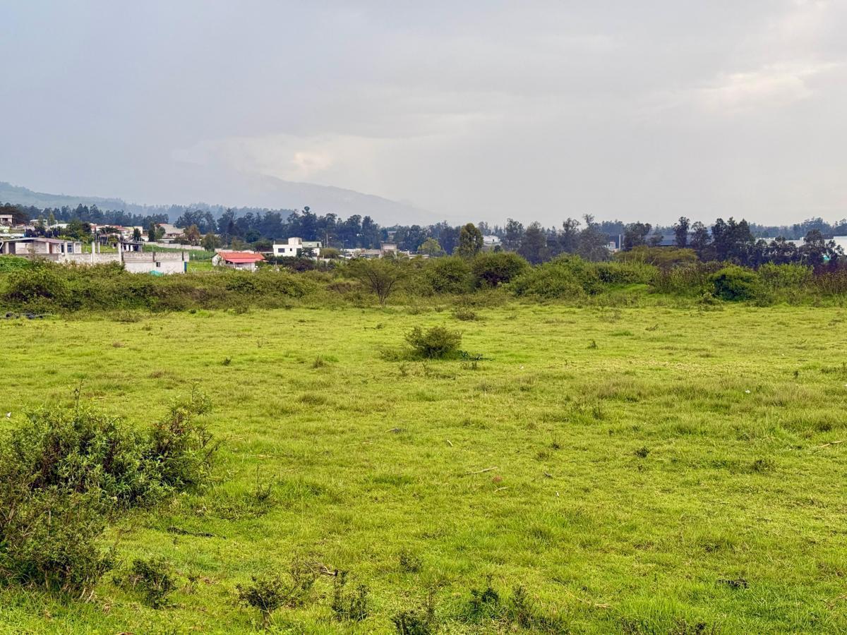 Vendo Terreno de 1 Has en Tababela (Redondel Aeropuerto y Vía Pifo El Quinche) — imagen 4