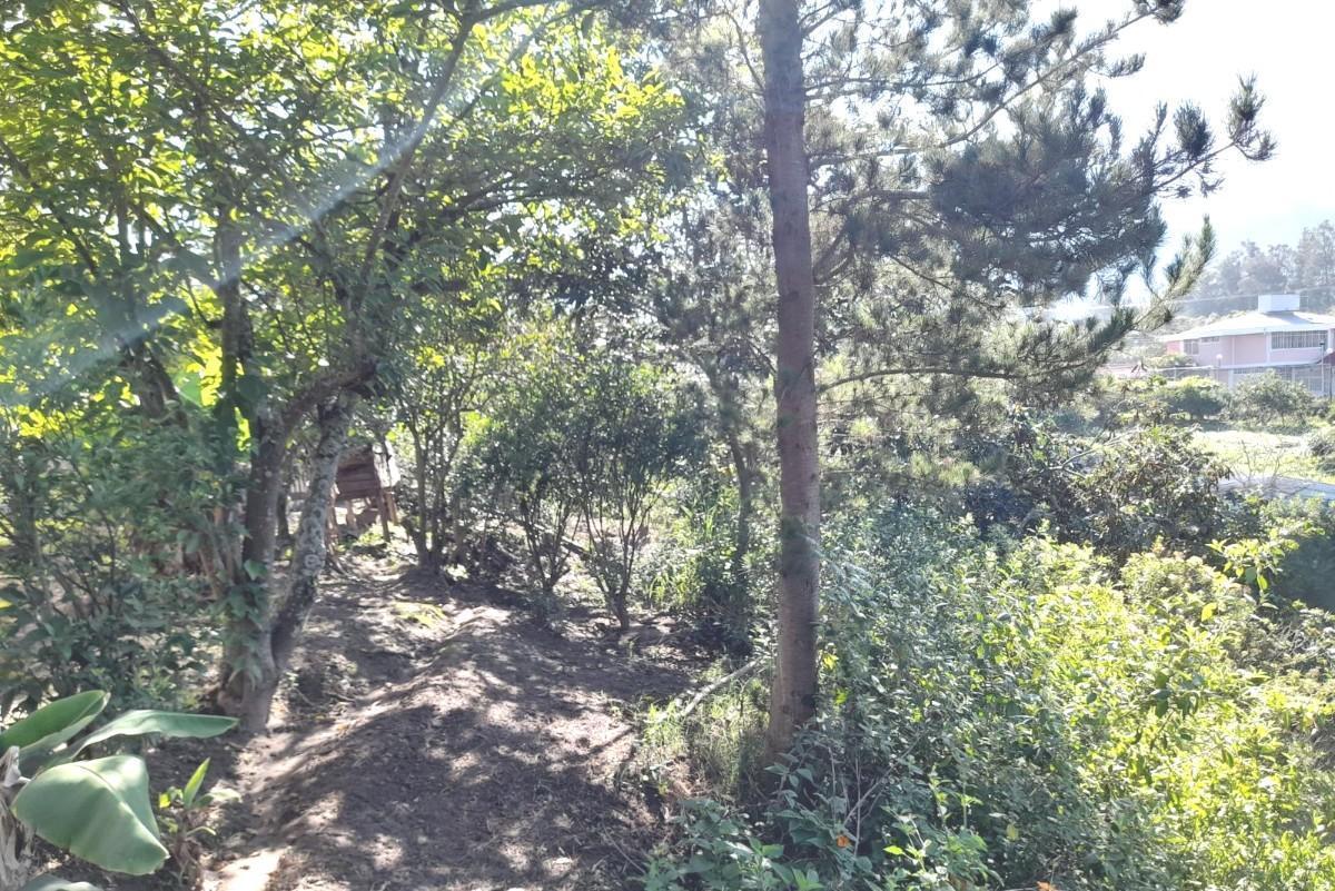 Terreno en Guayllabamba — imagen 5