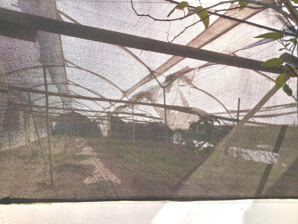 Terreno en Guayllabamba — imagen 3