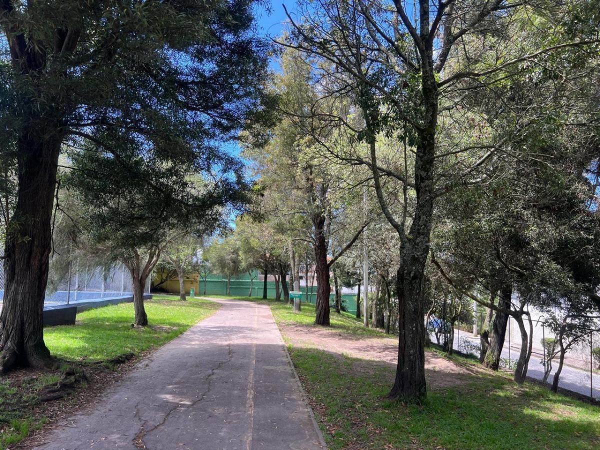Terreno en Monteserrín — imagen 4