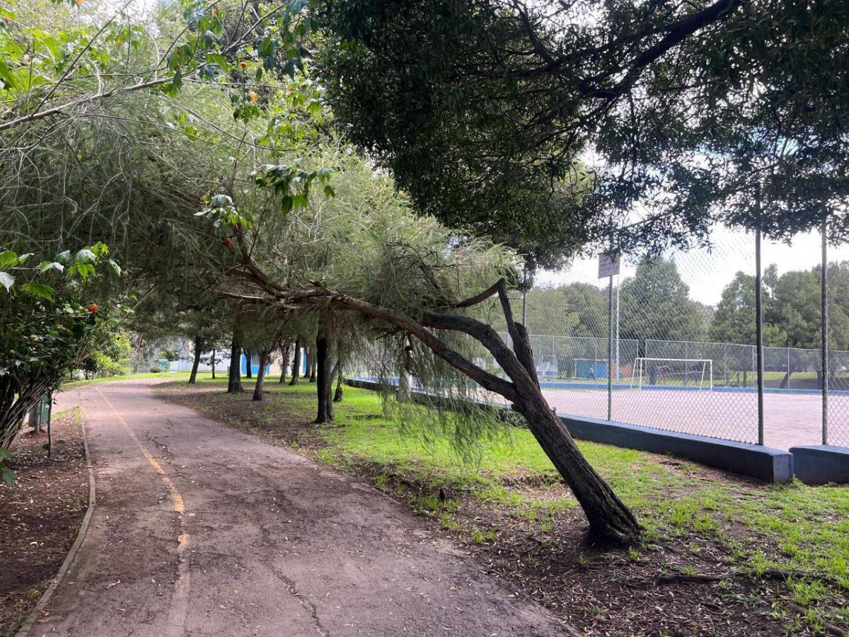 Terreno en Monteserrín — imagen 3