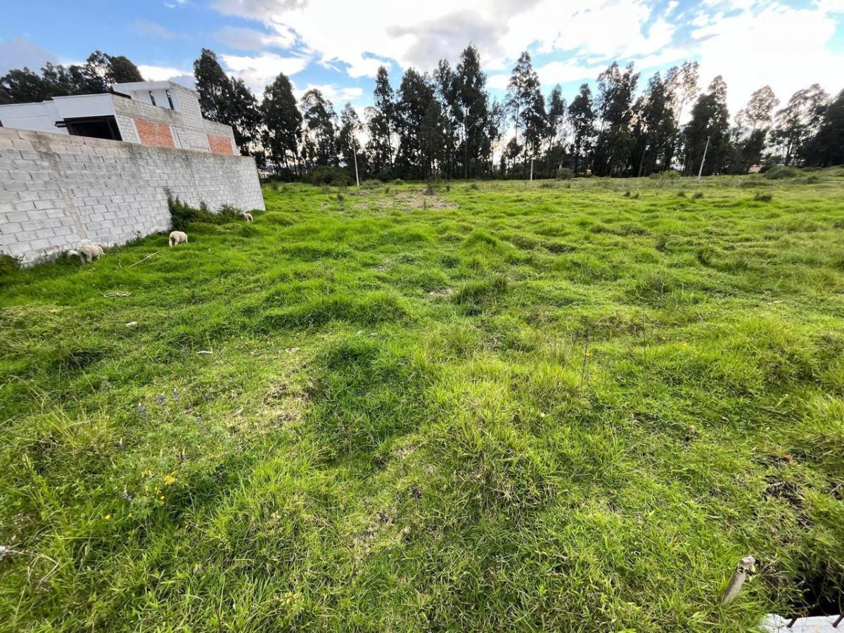 Terreno en Conocoto — imagen 5
