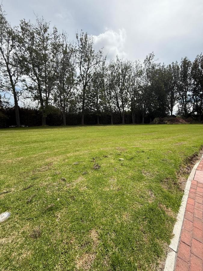 Vendo Excelente Terreno Puembo — imagen 6
