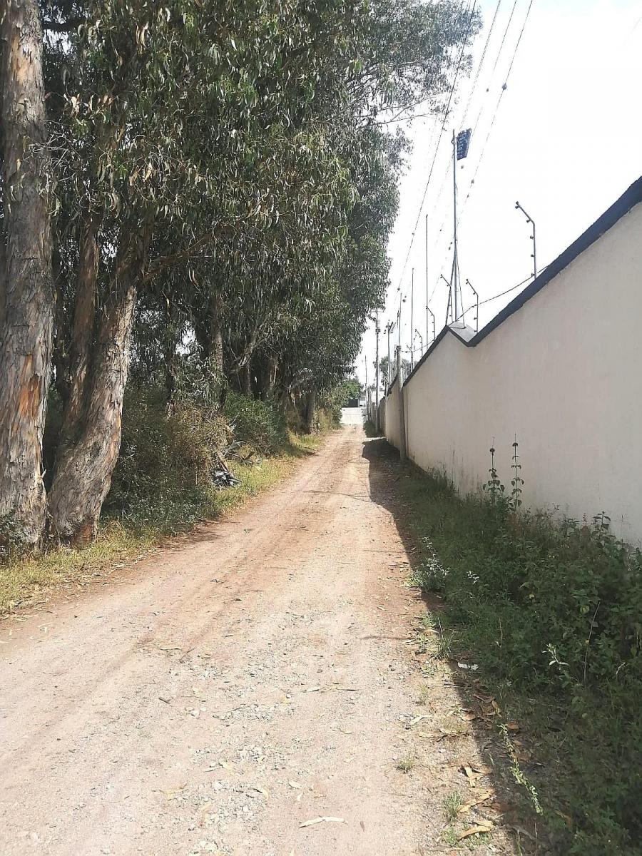 Terreno Plano 6500 m² Sector Santa Rosa en Tumbaco — imagen 5