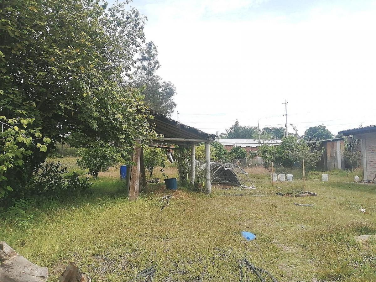 Terreno Plano 6500 m² Sector Santa Rosa en Tumbaco — imagen 4