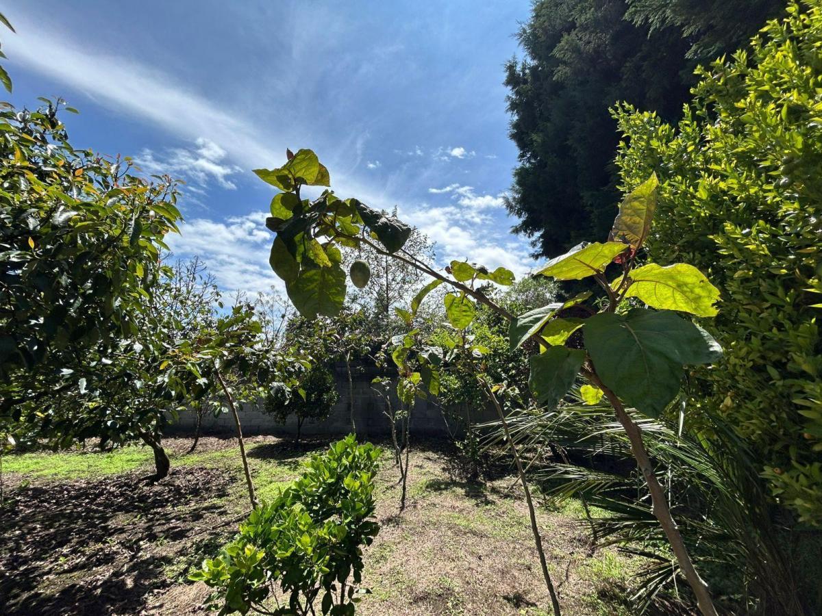 Tereno Para Finca Vacacional — imagen 5