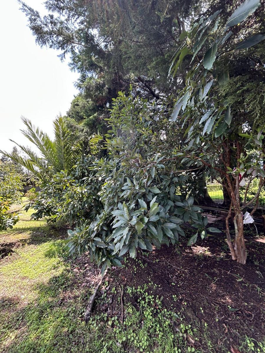 Tereno Para Finca Vacacional — imagen 3