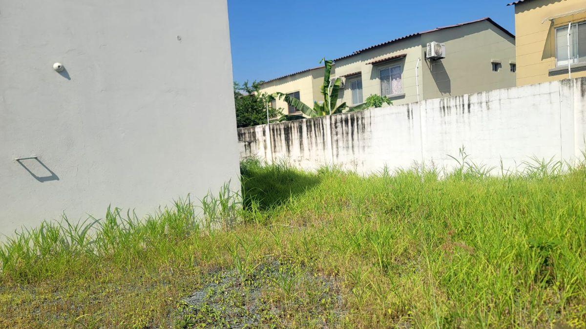 Casa de Estreno en Venta en La Rioja Av Leon Febres Cordero - Mae. Recalde, Guayas — imagen 3