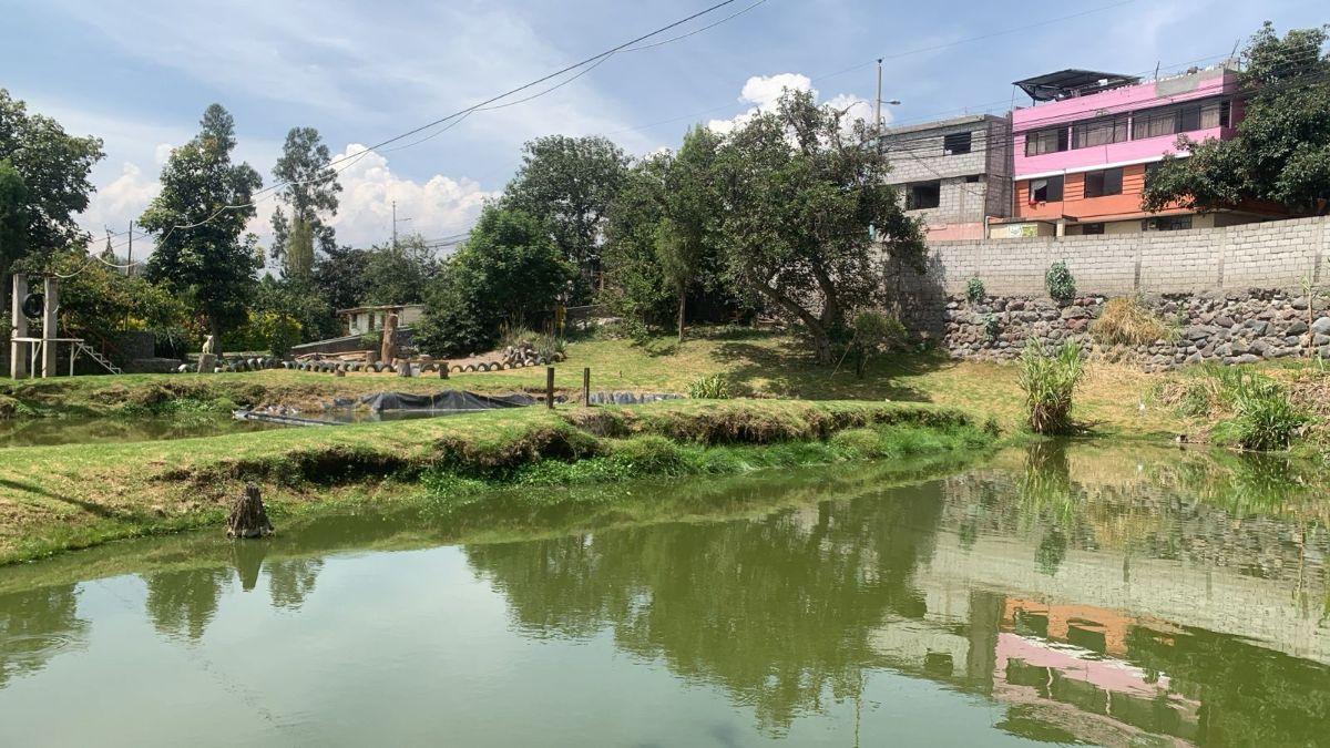 H/ Guayllabamba, Terreno Plano de 5217 m² Para Proyecto Turístico o Inmobiliario — imagen 5