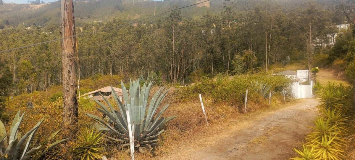 Cumbaya Terreno en Venta 2779 m² — imagen 3