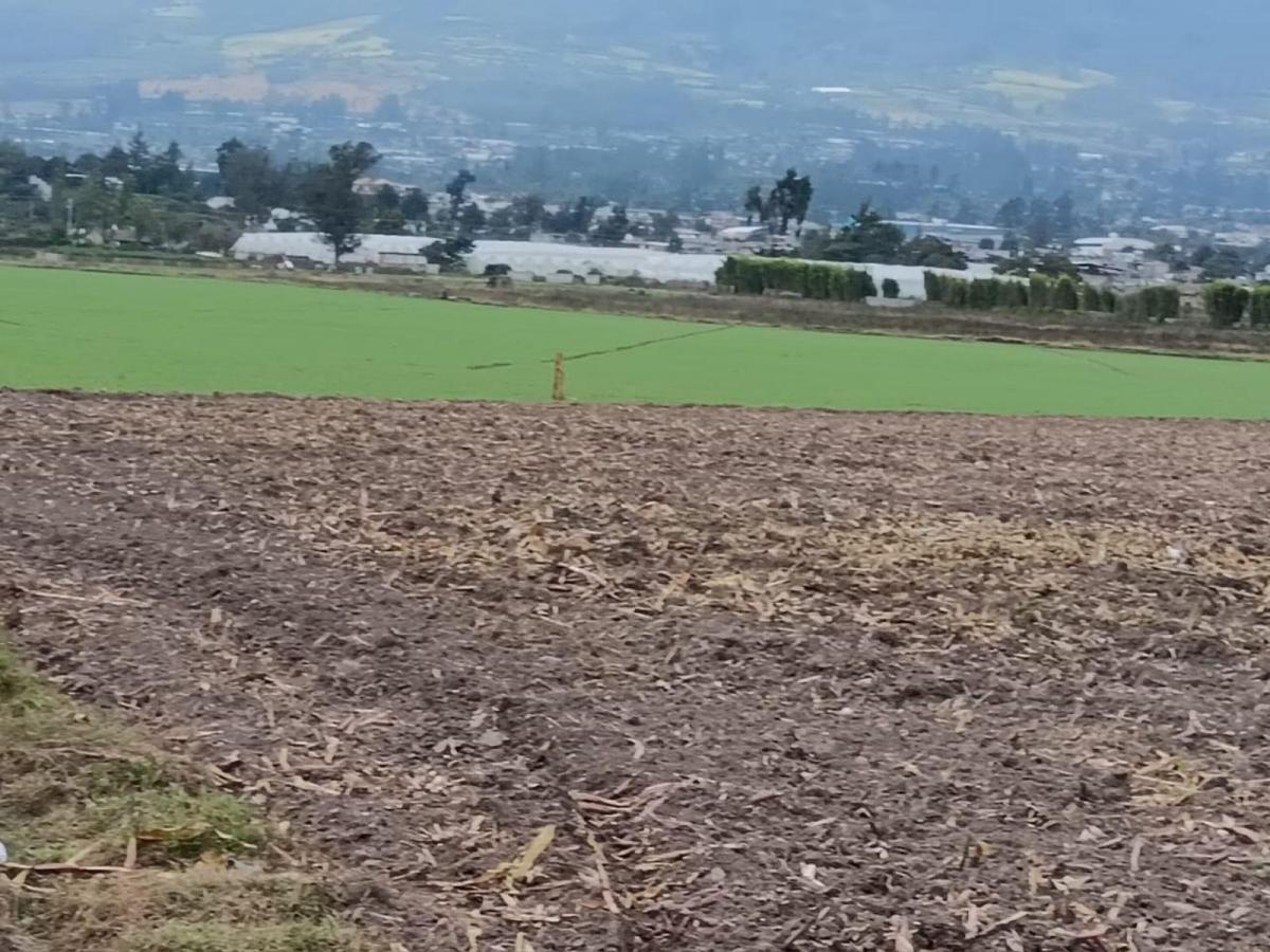 Terreno - Atuntaqui, Imbabura — imagen 4