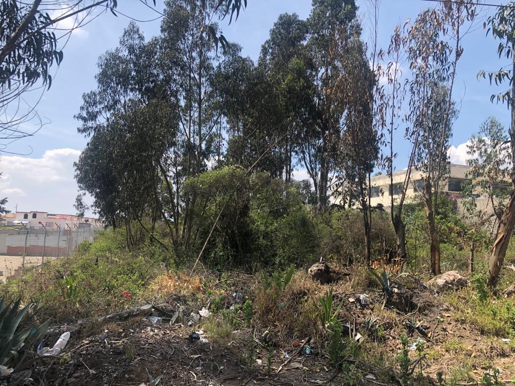Vendo Terreno - Calle Adoquinada - Marianitas Calderon - *mm — imagen 4