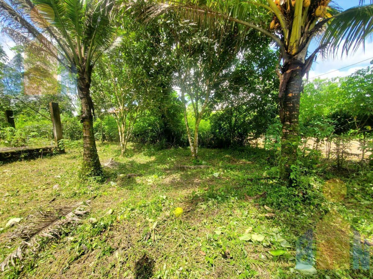 Terreno en Venta Sector Puerto Quito Kilometro 135 Vía a Los Bancos — imagen 5