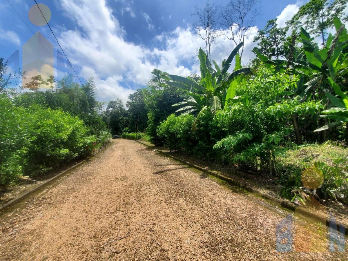 Terreno en Venta Sector Puerto Quito Kilometro 135 Vía a Los Bancos — imagen 3