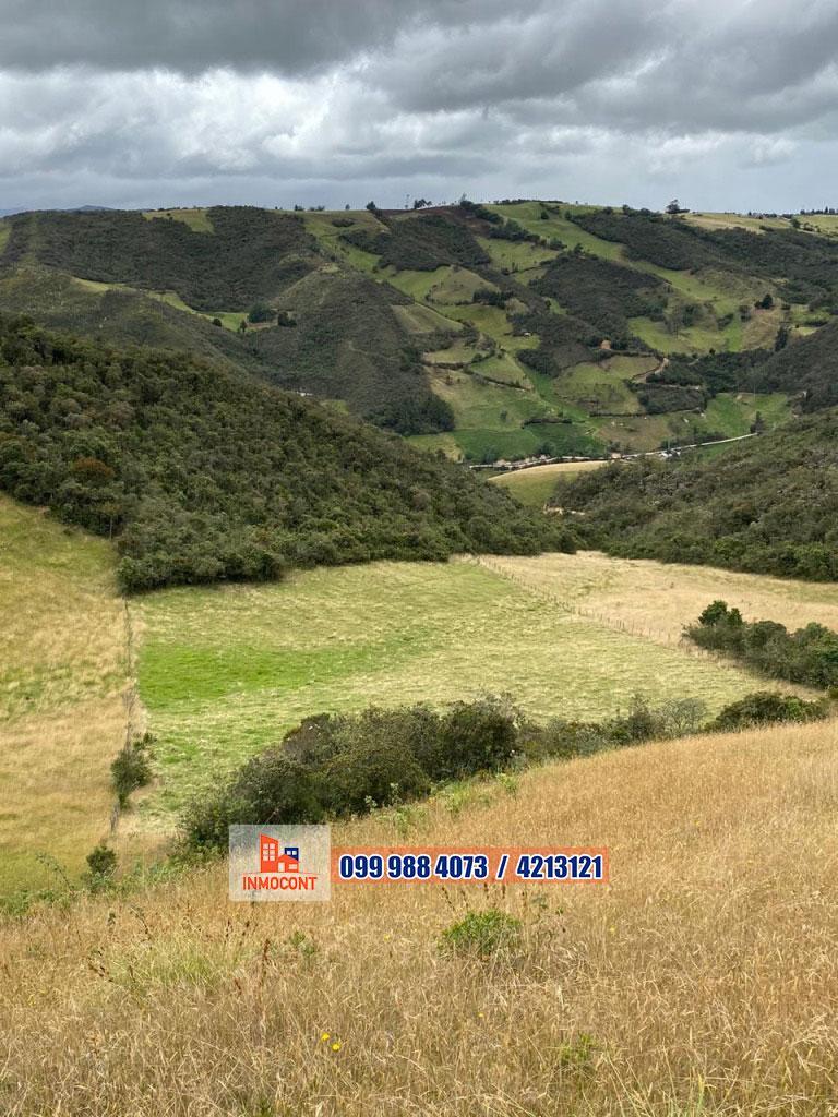 Seis Has de Venta Sector Gulcay (San Agustin - Cumbe), Azuay — imagen 4
