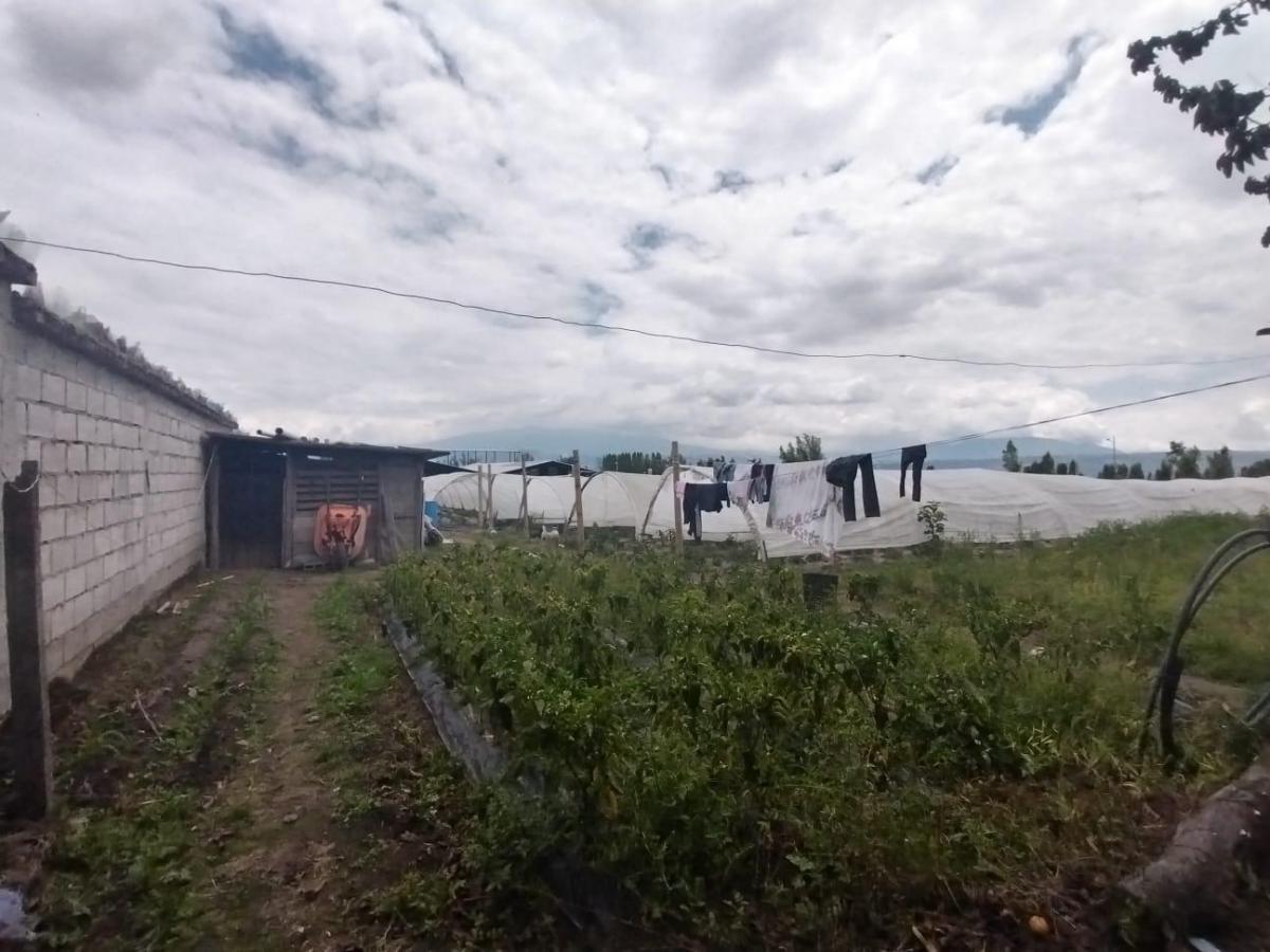Jv Sector Yaruqui. Terreno en Venta 2.900 m Planos — imagen 5