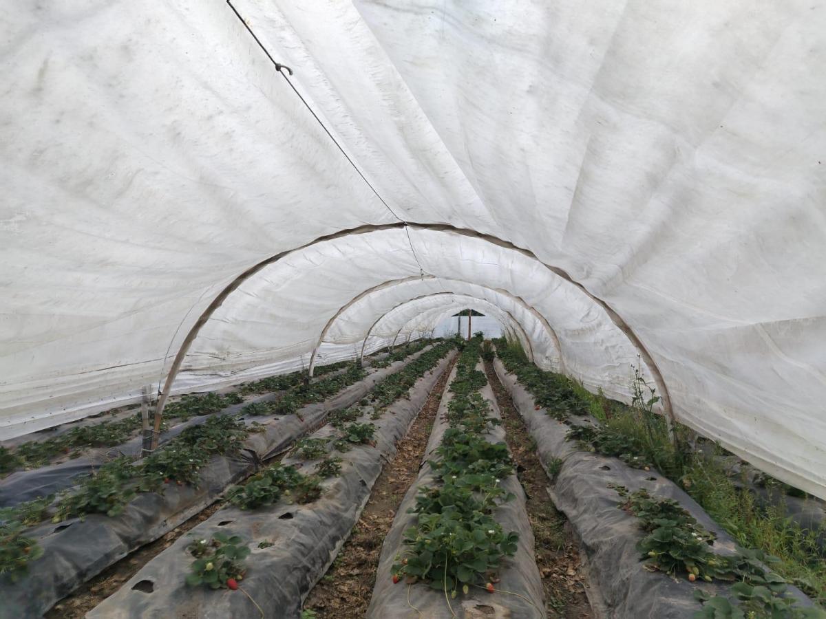 Jv Sector Yaruqui. Terreno en Venta 2.900 m Planos — imagen 4