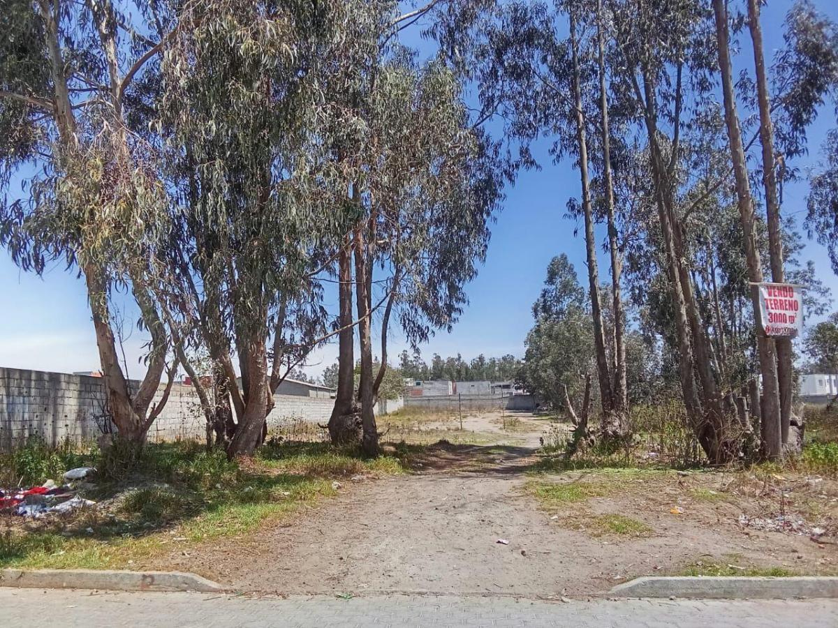 Terreno - Venta - Calderon - Quito - Norte — imagen 3
