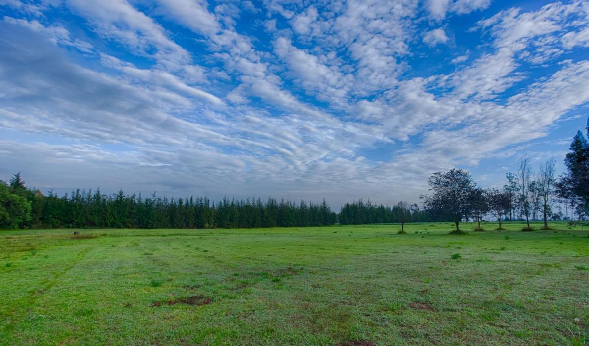 Venta Terreno en Checa Cerca Al Polo Quito Club — imagen 3