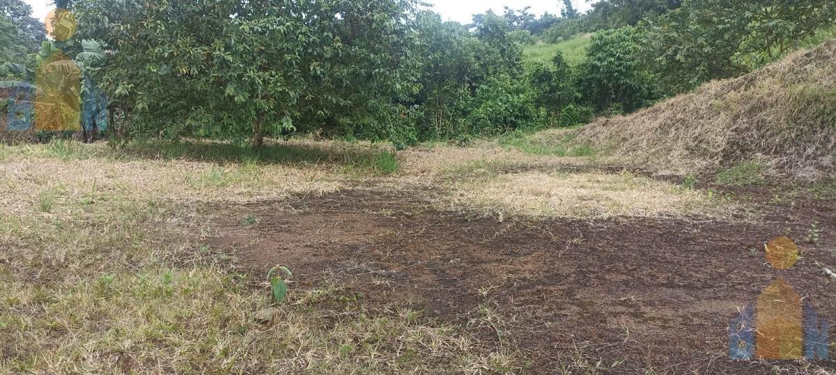 Terreno en Venta en Pedro Vicente Maldonado 1554 m $38500 — imagen 5
