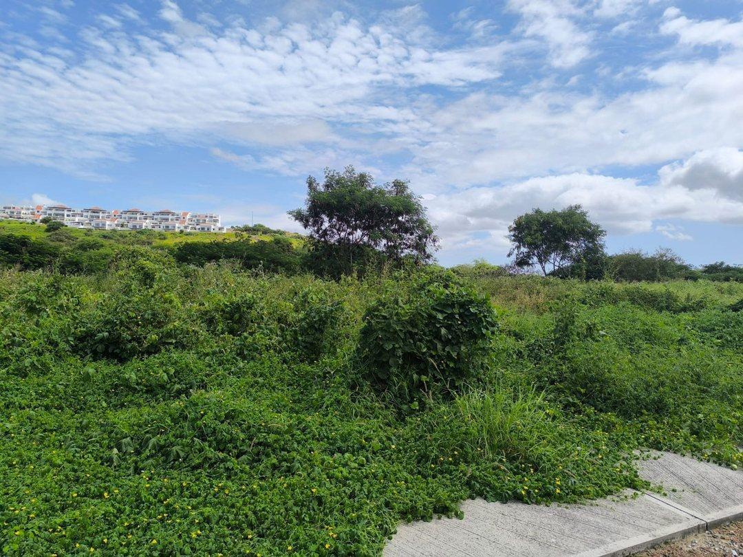 Terreno de Venta en Montecristi Golf Club Villas Am/v, Manabí — imagen 3
