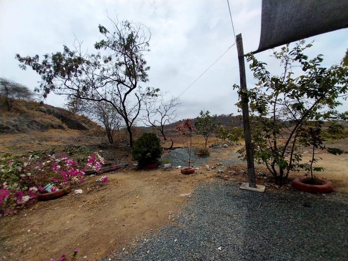 Se Vende Terreno de 30,407 m², Autopista Narcisa de Jesús y Francisco de Orellana, Guayas — imagen 5