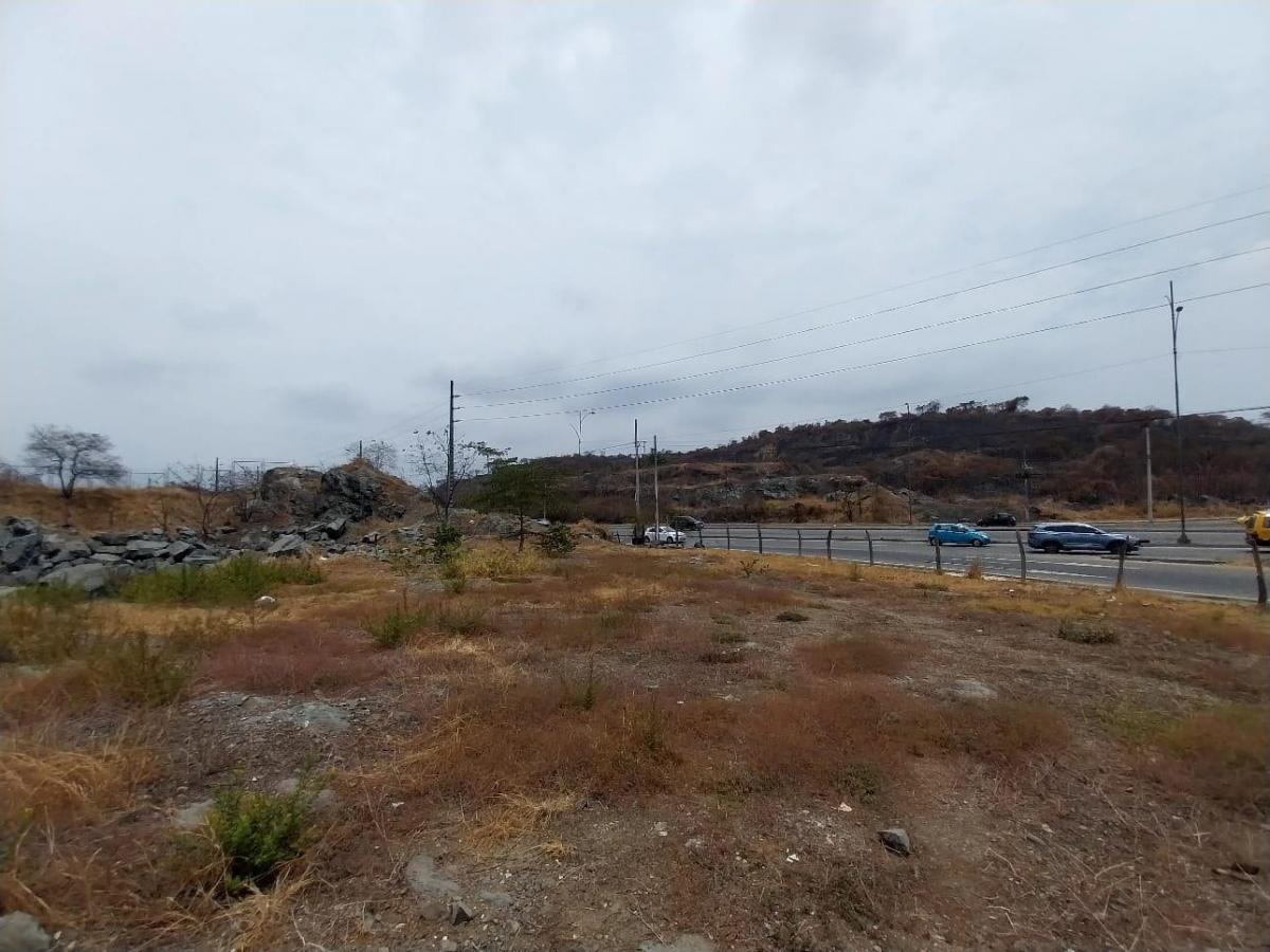 Se Vende Terreno de 30,407 m², Autopista Narcisa de Jesús y Francisco de Orellana, Guayas — imagen 3