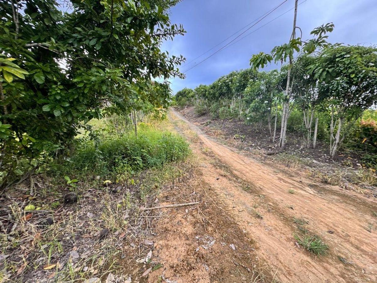Terreno de Venta en Calceta Sitio Arrastradero, Manabí — imagen 4