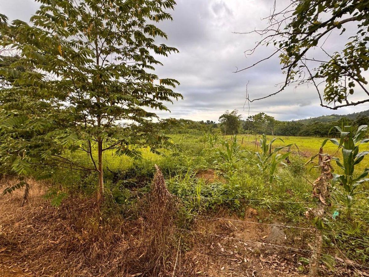 Terreno de Venta en Calceta Sitio Arrastradero, Manabí — imagen 3