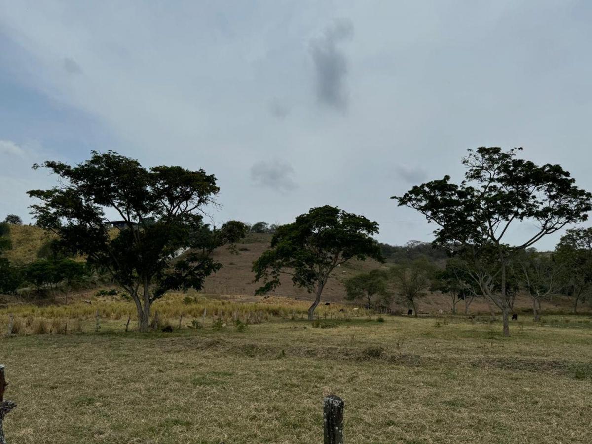 Terreno Agricola y Ganadería de Venta en Tosagua C/p, Manabí — imagen 5