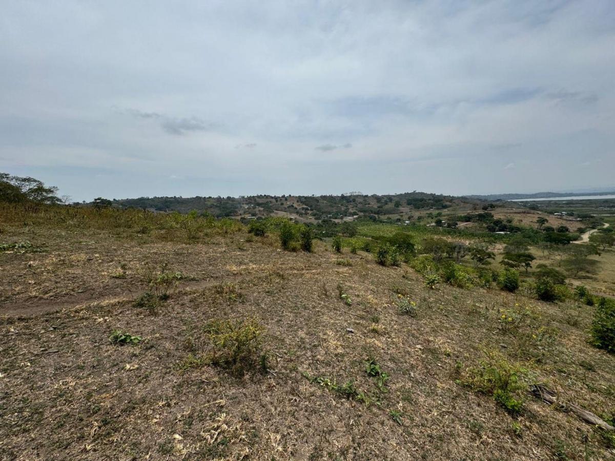 Terreno Agricola y Ganadería de Venta en Tosagua C/p, Manabí — imagen 3