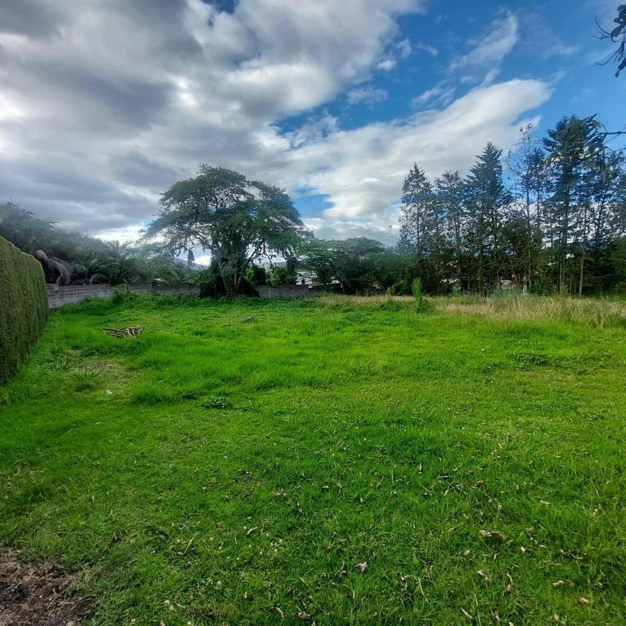 Terreno de 2364 m² en Venta en Urb. Arrayanes, Puembo — imagen 4
