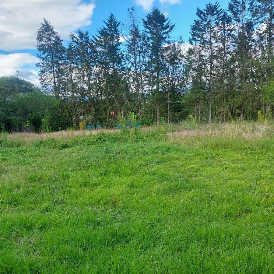 Terreno de 2364 m² en Venta en Urb. Arrayanes, Puembo — imagen 3