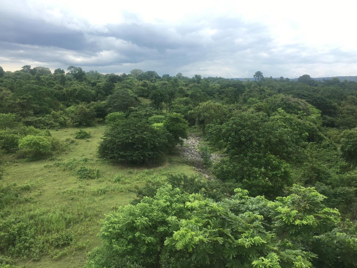 Vendo Terreno Para Proyecto Urbano en Sector Chongon Guayaquil, Guayas — imagen 5