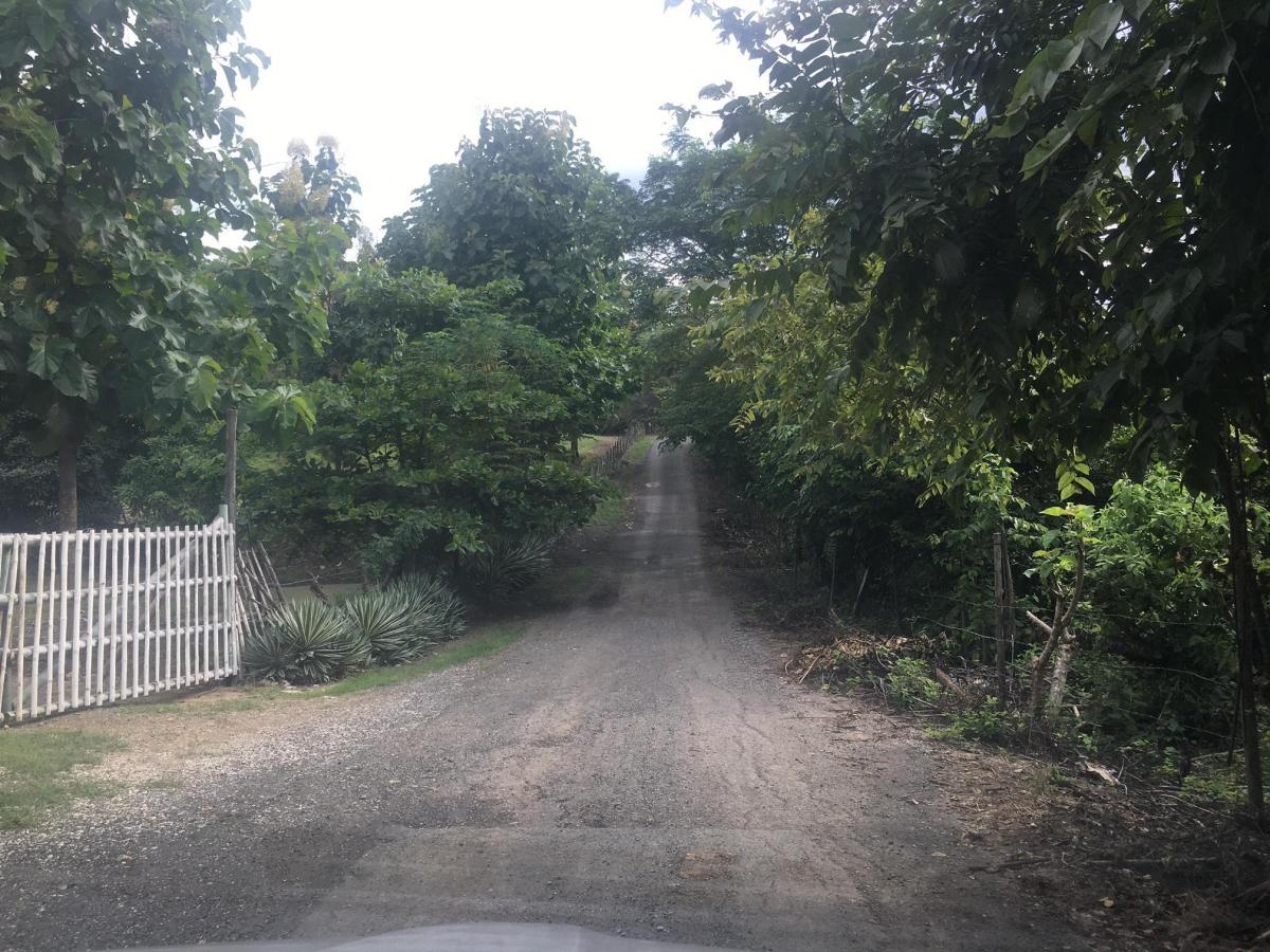 Vendo Terreno Para Proyecto Urbano en Sector Chongon Guayaquil, Guayas — imagen 4