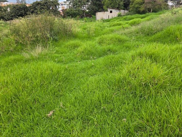 Terreno de Venta en Cumbayá — imagen 5