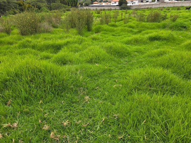 Terreno de Venta en Cumbayá — imagen 3