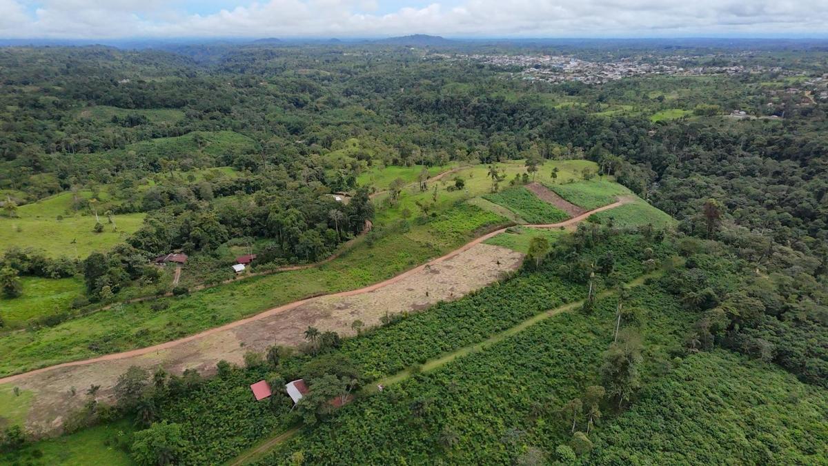 Lotes de Terreno en Venta | Quintas Vacacionales Illari | Pedro Vicente Maldonado — imagen 4