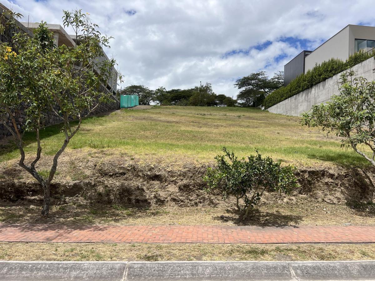 Venta Terreno en Cumbaya en Urbanización Exclusiva — imagen 4