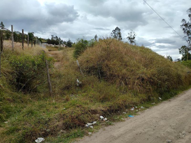Vendo Terreno de 26000 m² en La Tolita a 1 Km de La Ruta Viva, Gran Vista — imagen 4